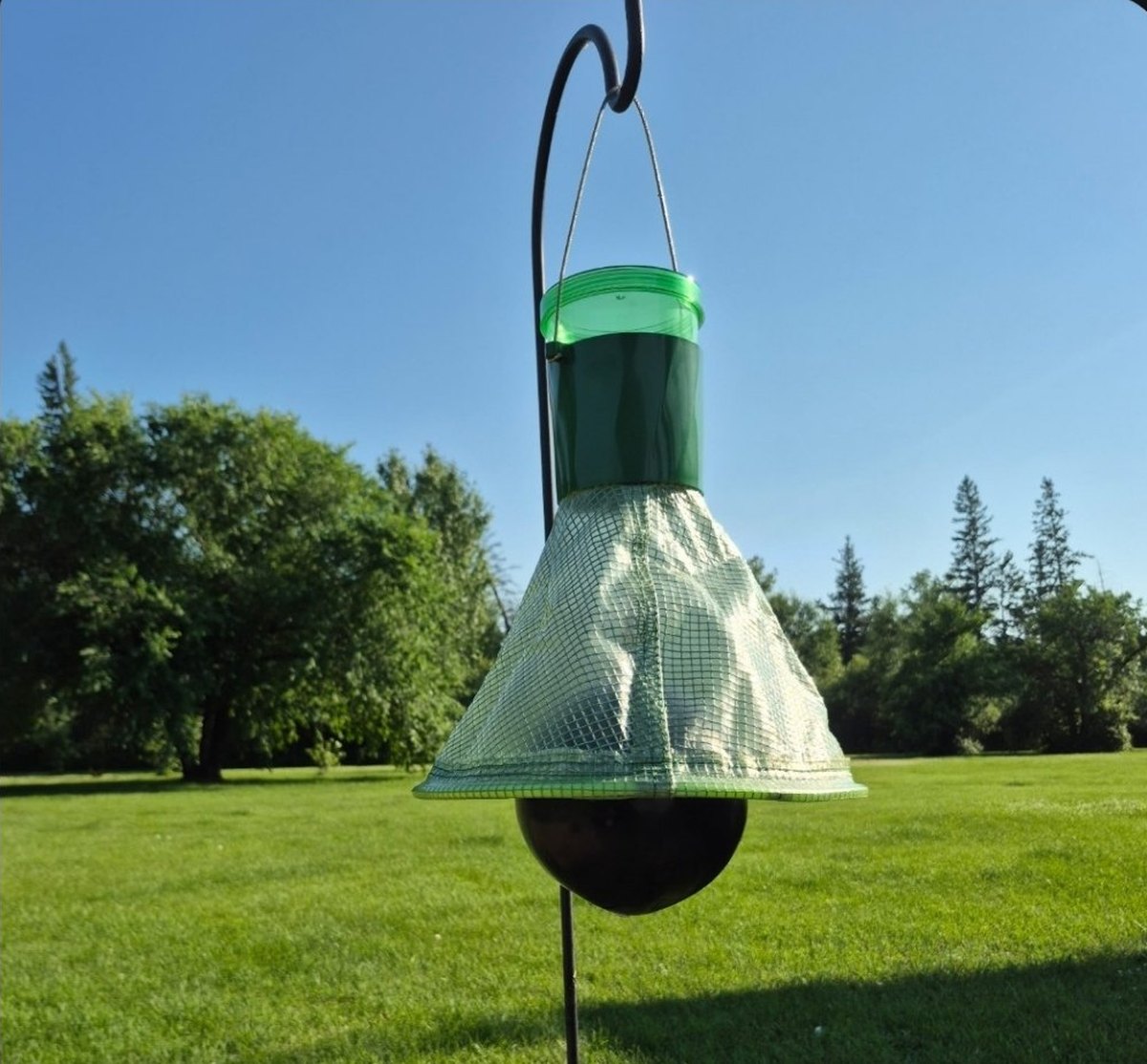 H-Trap horse fly trap set up in a Manitoba yard