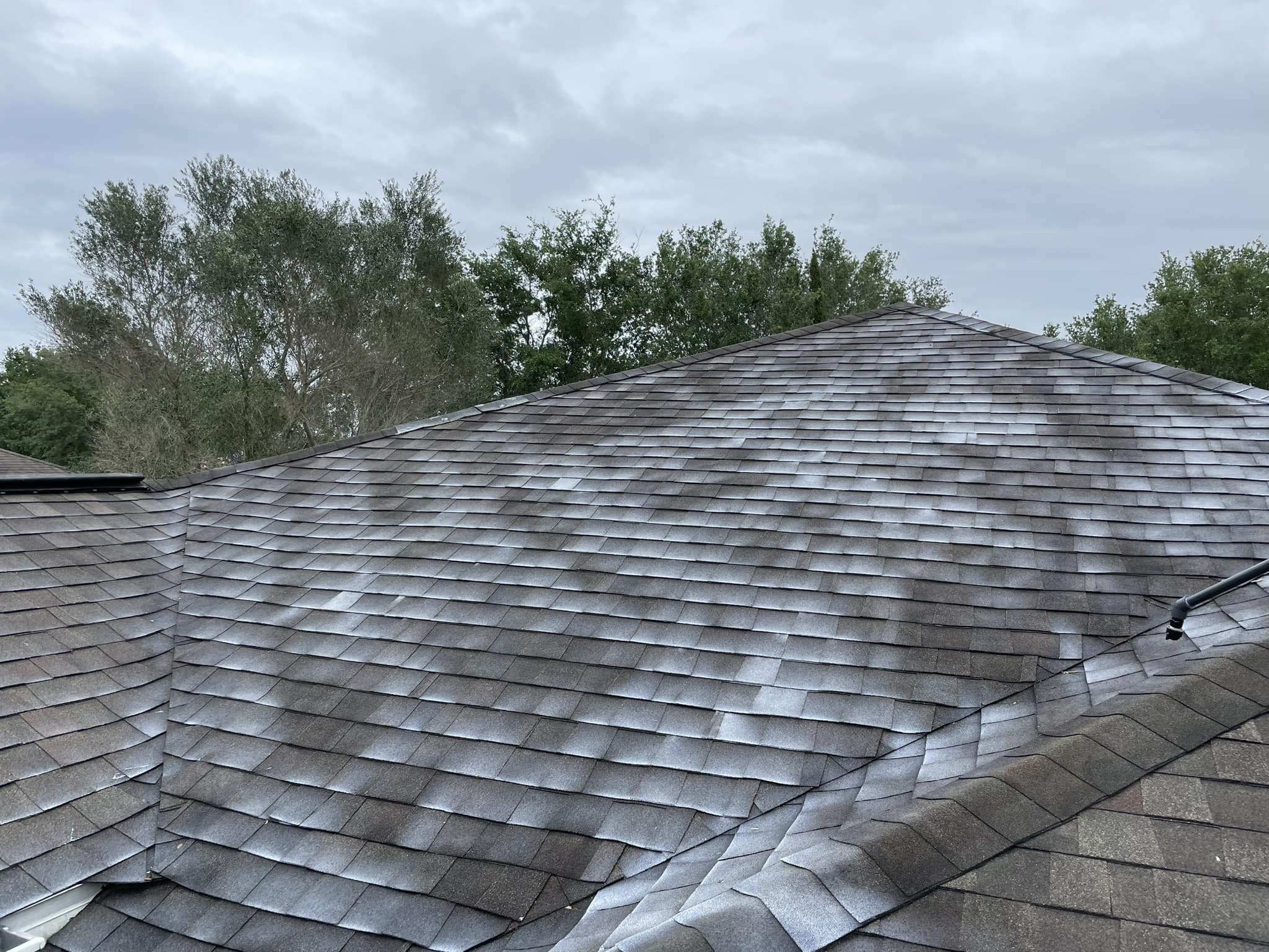 Close-up of dark restored shingles after GreenSoy treatment application